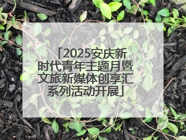 2025安庆新时代青年主题月暨文旅新媒体创享汇系列活动开展