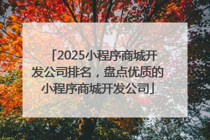 2025小程序商城开发公司排名，盘点优质的小程序商城开发公司