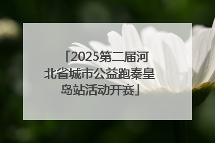 2025第二届河北省城市公益跑秦皇岛站活动开赛