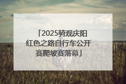 2025骑观庆阳红色之路自行车公开赛爬坡赛落幕