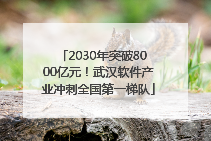 2030年突破8000亿元！武汉软件产业冲刺全国第一梯队
