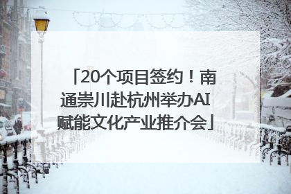 20个项目签约！南通崇川赴杭州举办AI赋能文化产业推介会
