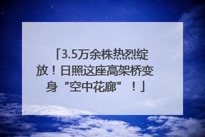 3.5万余株热烈绽放！日照这座高架桥变身“空中花廊”！