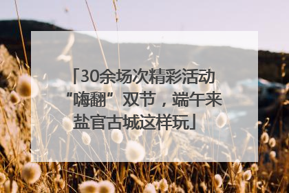 30余场次精彩活动“嗨翻”双节，端午来盐官古城这样玩