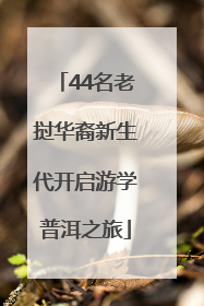 44名老挝华裔新生代开启游学普洱之旅