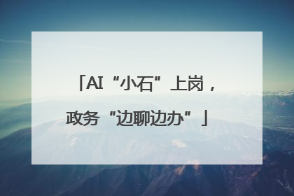 AI“小石”上岗，政务“边聊边办”