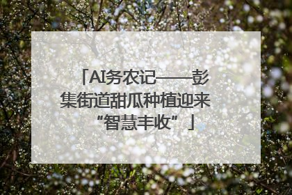 AI务农记——彭集街道甜瓜种植迎来“智慧丰收”