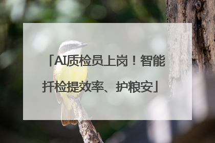AI质检员上岗！智能扦检提效率、护粮安