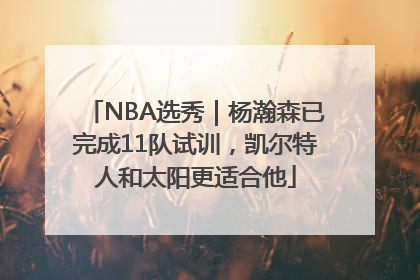 NBA选秀｜杨瀚森已完成11队试训，凯尔特人和太阳更适合他