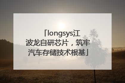 longsys江波龙自研芯片，筑牢汽车存储技术根基